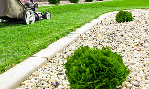 Placeholder Article Title 3