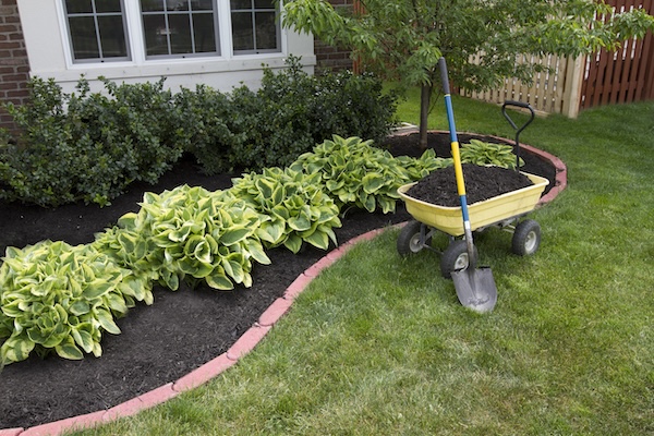 Mulching Benefits for Flower Beds, Shrubs, and Gulf Coast Landscapes