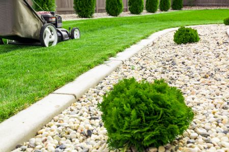 Why Professional Lawn Care in Daphne Makes a Noticeable Difference
