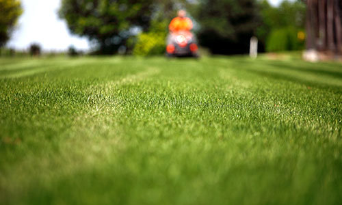 Placeholder Project Title 1