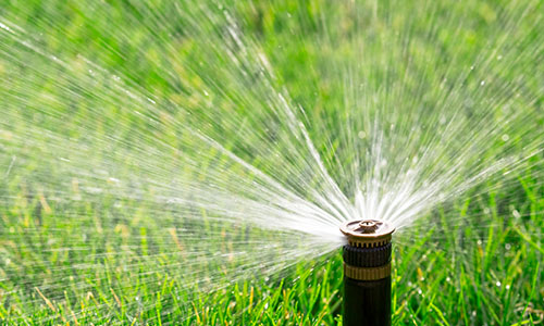 Placeholder Project Title 2